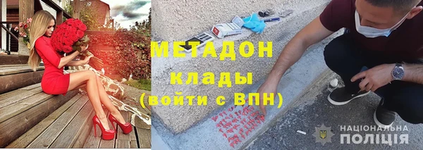 индика Новодвинск