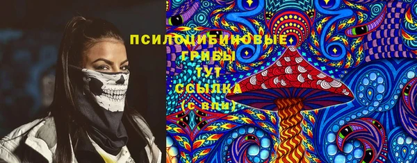 индика Новодвинск