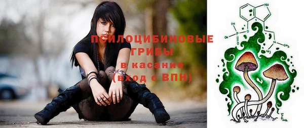герыч Алзамай
