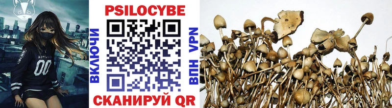 Псилоцибиновые грибы GOLDEN TEACHER  Михайловск 