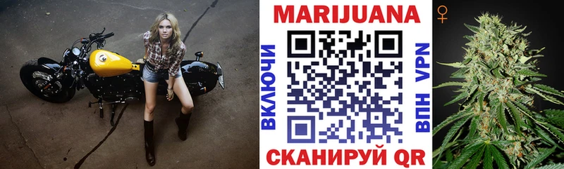 Шишки марихуана планчик как найти наркотики Михайловск